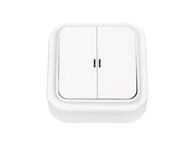 Купить выключатель 2 клав. (открытый, 10А) со световой индикацией, белый, Пралеска, BYLECTRICA (А5 10-215)